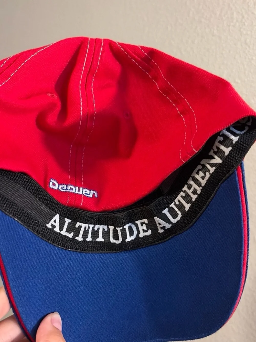 Blue & Red Team Logo Cap